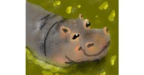 Drawing of Hippo by Dani