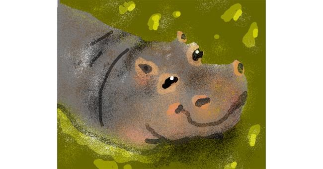 Drawing of Hippo by Dani
