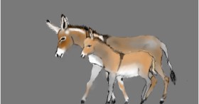 Drawing of Donkey by Maggy