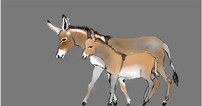 Drawing of Donkey by Maggy