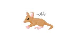 Drawing of Mouse by Numi