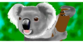 Drawing of Koala by Temüjin