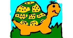 Drawing of Tortoise by Anita