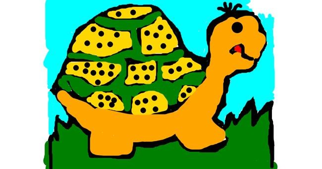 Drawing of Tortoise by Anita