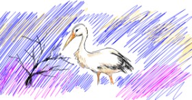 Drawing of Stork by Gray Echidna