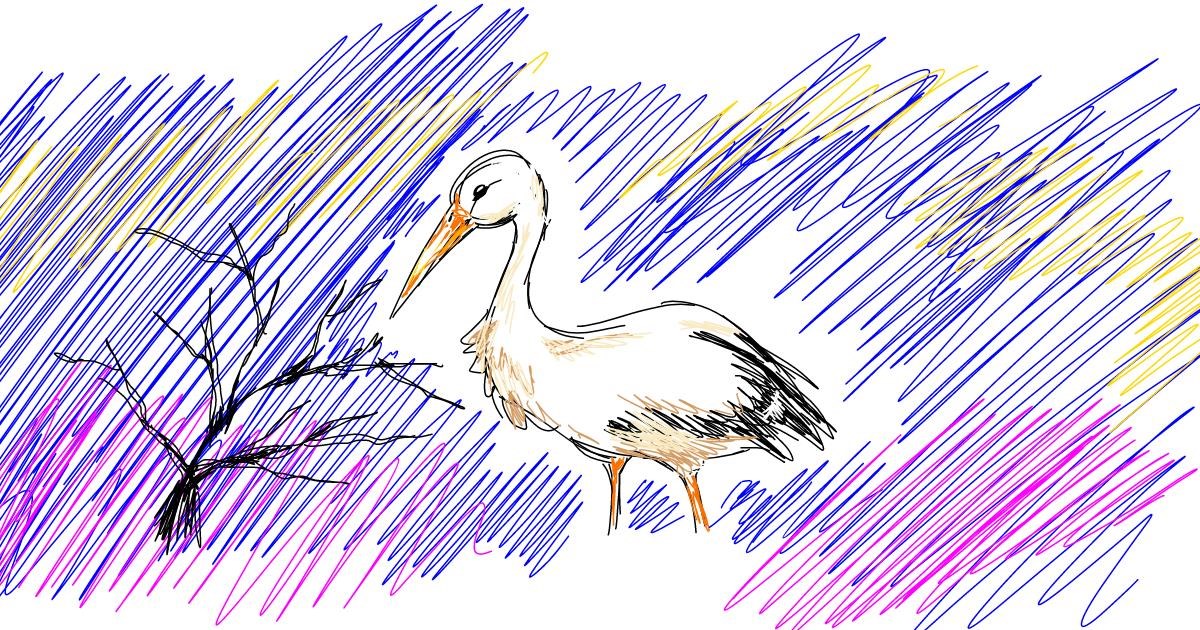 Drawing of Stork by Gray Echidna