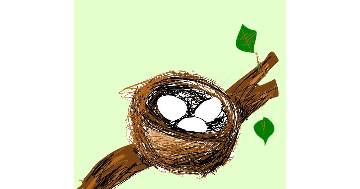 Drawing of Nest by Lea