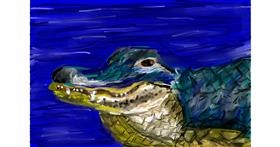 Drawing of Alligator by Mia