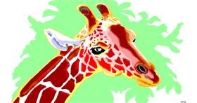 Drawing of Giraffe by Zingin