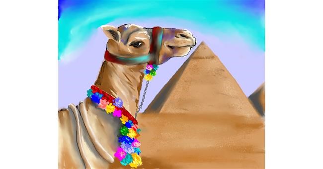 Kamel-Zeichnung von Audrey