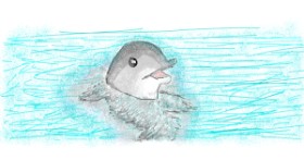 Drawing of Dolphin by coconut