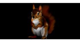 Drawing of squirrel by Annie