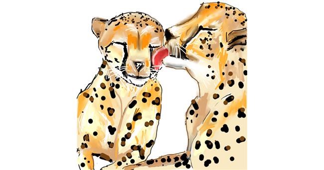 Gepard-Zeichnung von camay