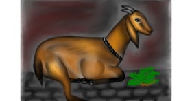 Drawing of Goat by Jan