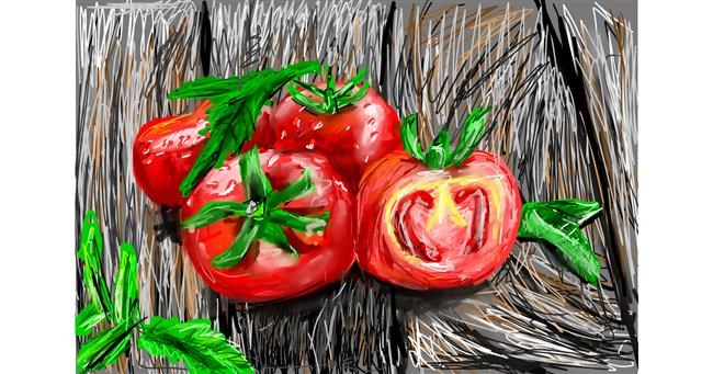 Drawing of Tomato by Mia