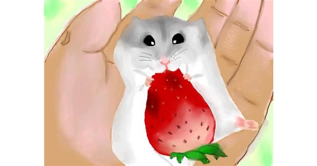 Drawing of Hamster by Zi
