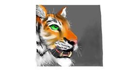 Drawing of Tiger by Debidolittle
