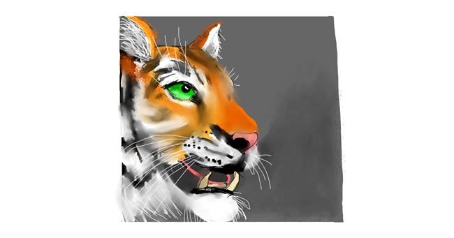Drawing of Tiger by DebbyLee