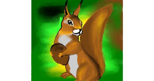 Drawing of Squirrel by 🌏rhythm💐