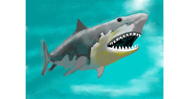Drawing of Shark by SAM AKA MARGARET 🙄