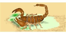 Drawing of Scorpion by Kim