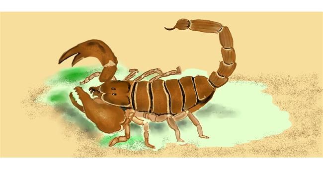 Drawing of Scorpion by Kim