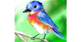 Drawing of Bird by Audrey