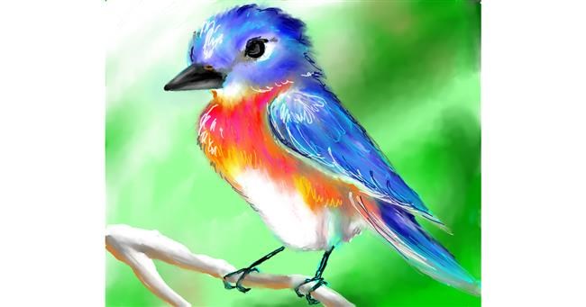 Vogel-Zeichnung von Audrey