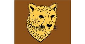 Drawing of Cheetah by Mostafa