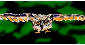 Sova - autor: Swimmer 