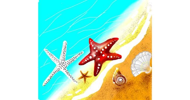 Drawing of Starfish by Riya