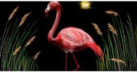 Drawing of Flamingo by Eclat de Lune