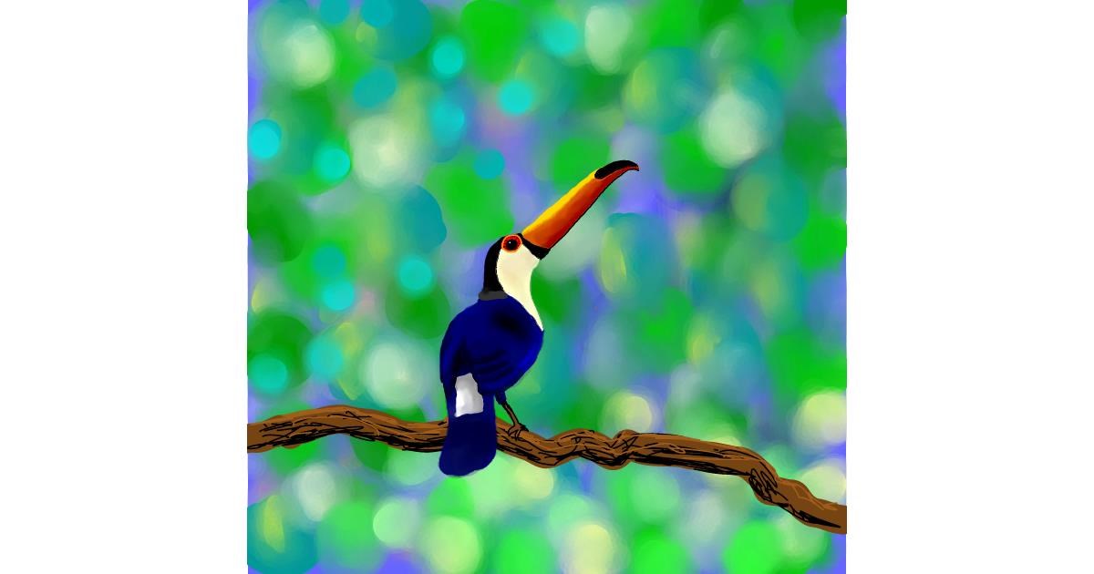 Drawing of Toucan by Joze