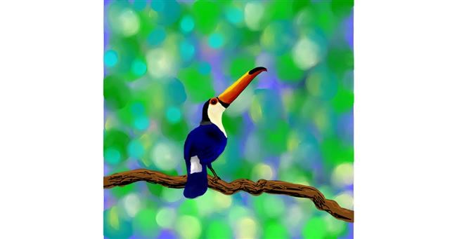 Drawing of Toucan by Joze
