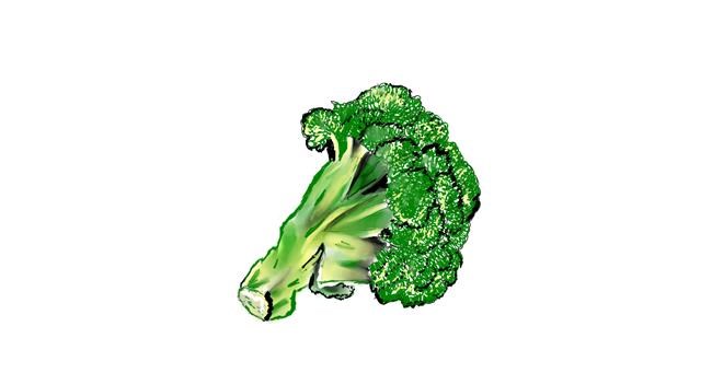 Drawing of Broccoli by Shanthini