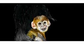 Drawing of Monkey by Chaching
