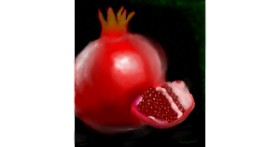 Drawing of Pomegranate by Linky