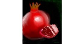 Drawing of Pomegranate by Linky