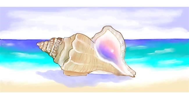 Drawing of Seashell by Debidolittle