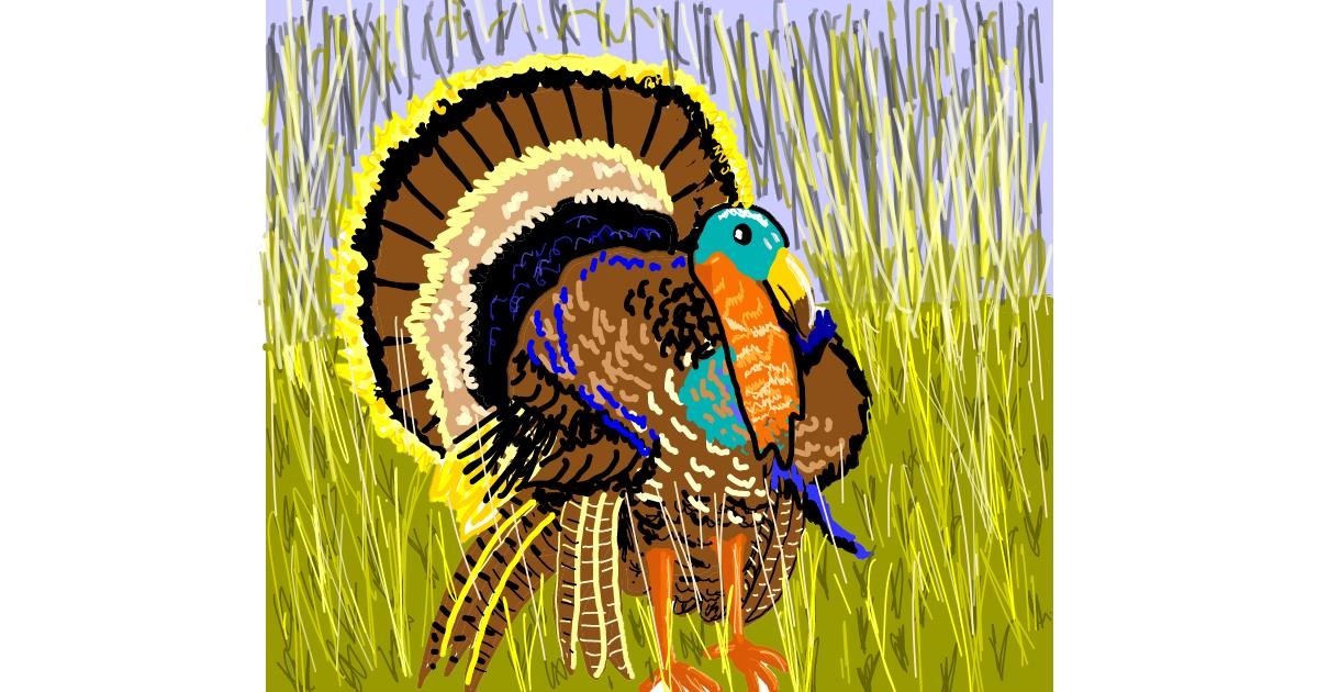 Turkey Drawing by GeoPebbles Drawize Gallery!