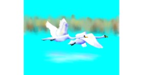 Drawing of Swan by Cec