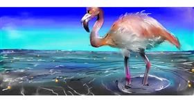 Drawing of Flamingo by Mandy Boggs