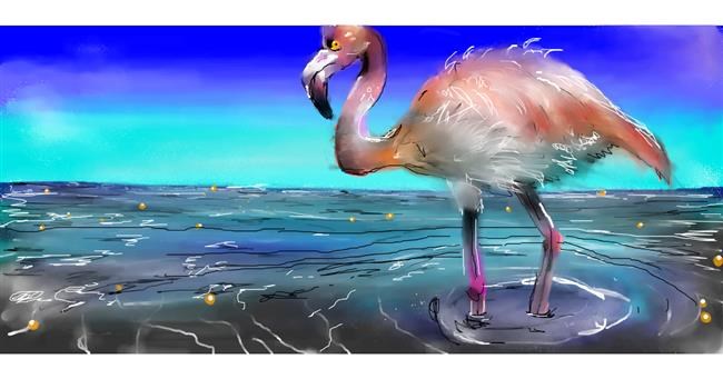Drawing of Flamingo by Mandy Boggs