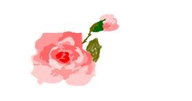 Drawing of Rose by elisa