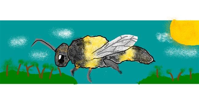 Drawing of Bee by AnYAY