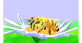 Drawing of Bee by Sam