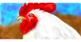 Drawing of Chicken by Debidolittle