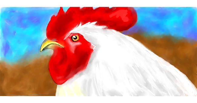 Drawing of Chicken by Debidolittle