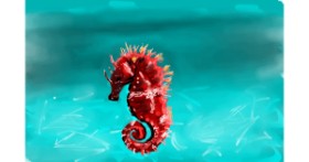 Drawing of Seahorse by Rose rocket