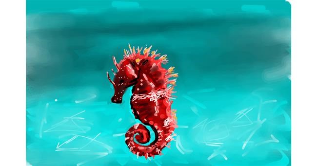 Drawing of Seahorse by Rose rocket